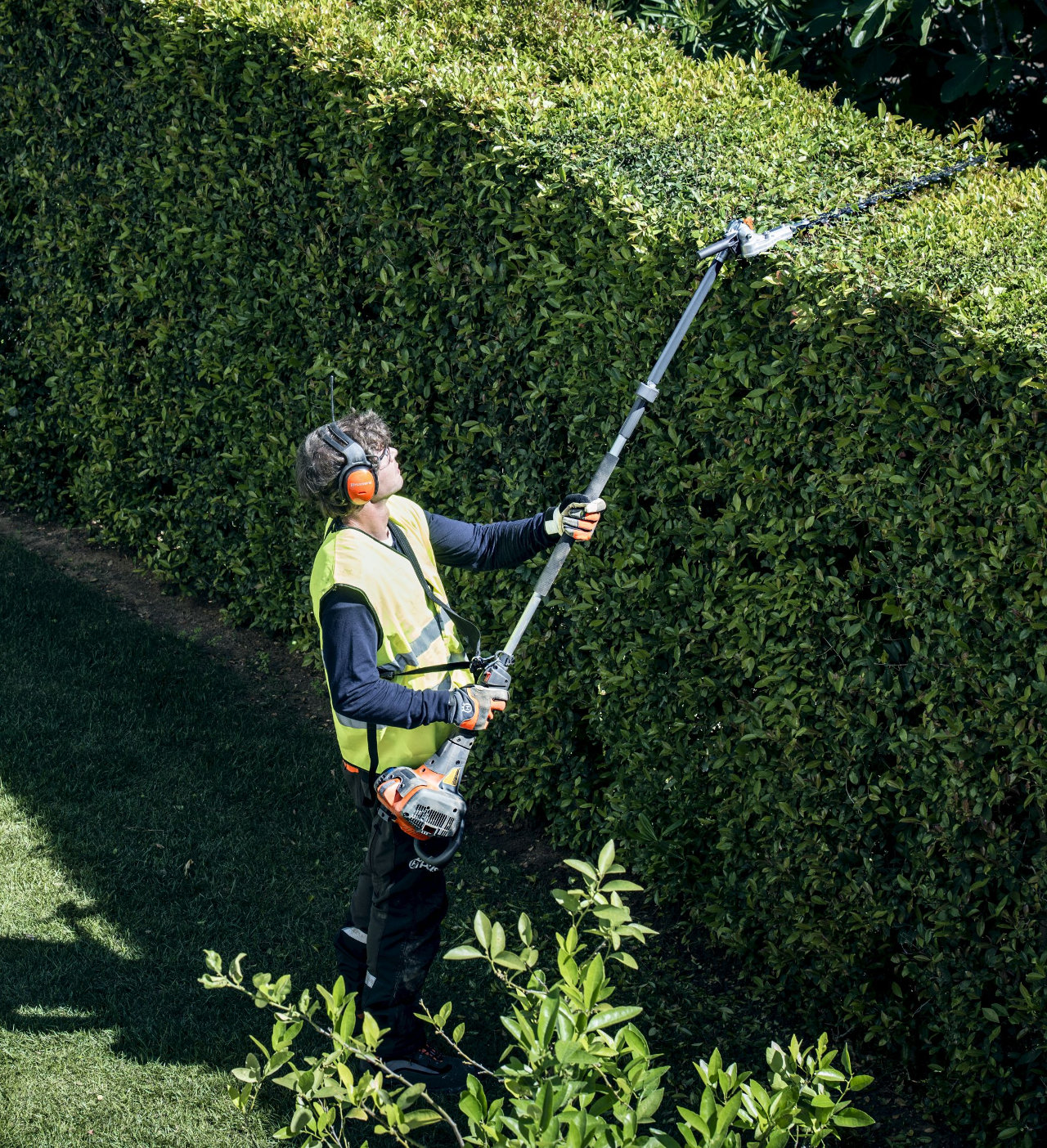 taillehaie Barthelemy Jardinage