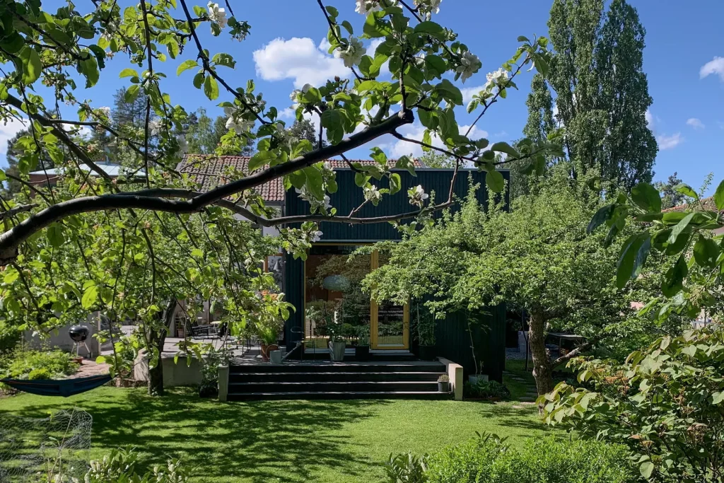jardin été