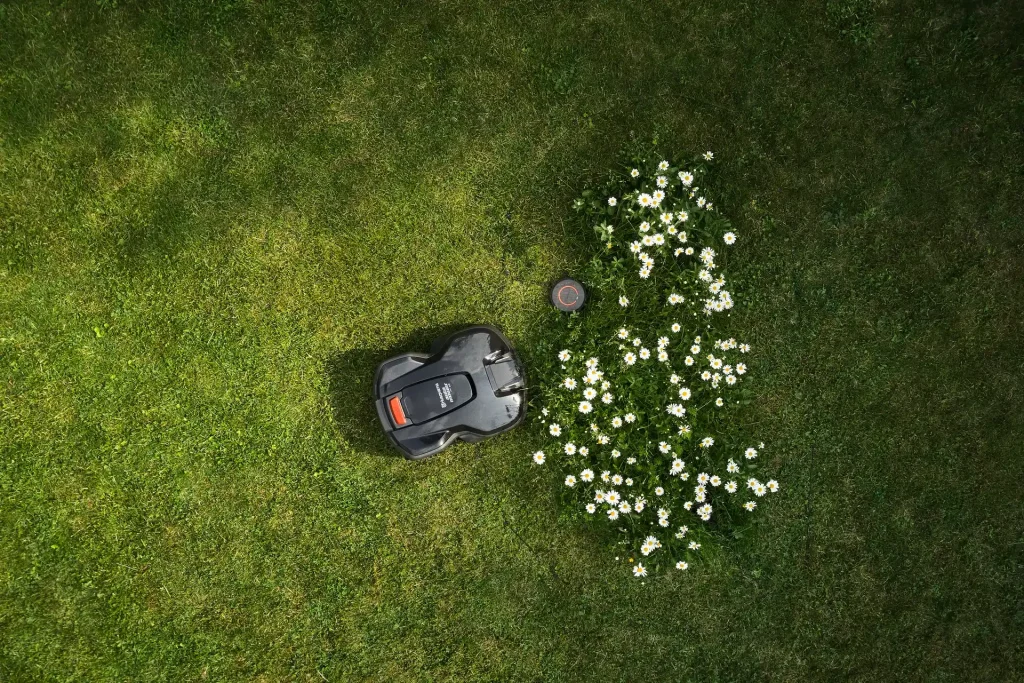 robot tondeuse